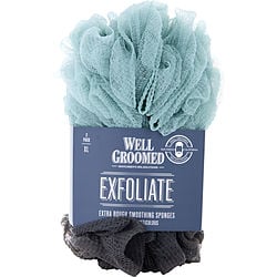 Spa Accessories Exfoliate Extra Rough Smoothing Sponges 2 Pack - Charcoal/marine Mist By Spa Accessories